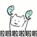 0B55D9F4E7096AFBA43F8D0B2147E363.jpg