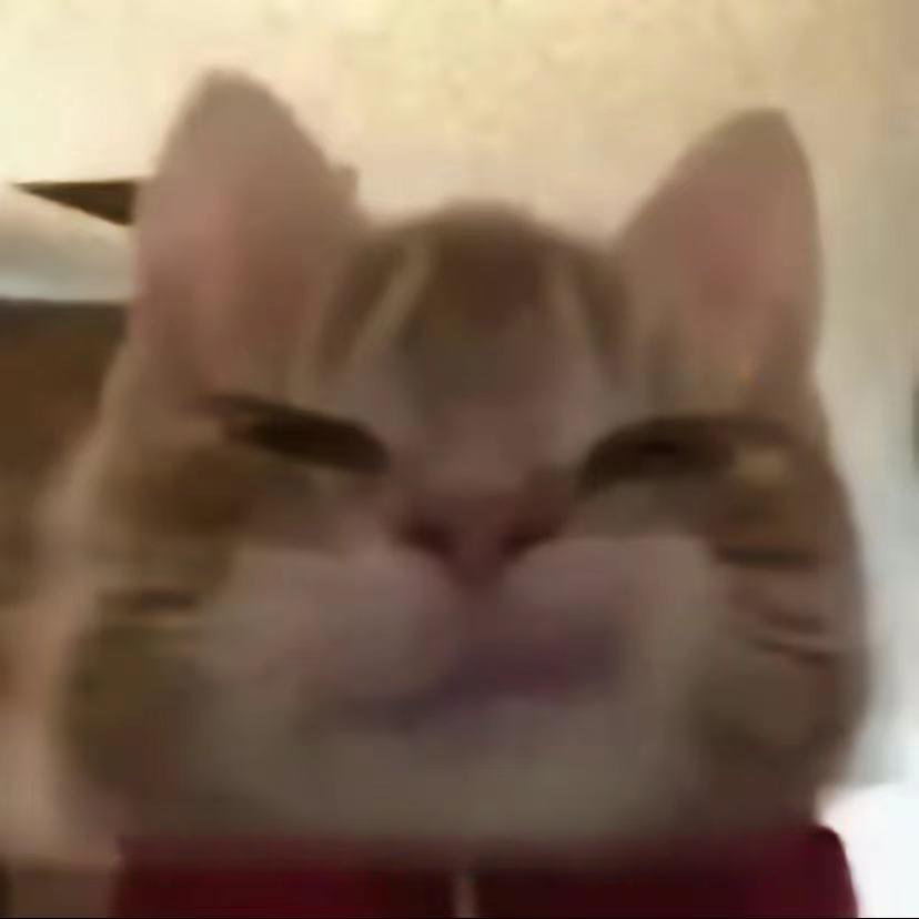 0F06162CD84464CA21F44154D278DFBF.png