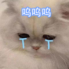 0F8C67B3C7764DEA16F8CD0D0C0AA043.jpg