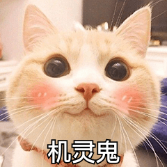 0F952763805AB6556F4550BF43F8E073.jpg