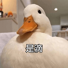 0FF17A4FCC9AAA844C1088646113FE73.jpg