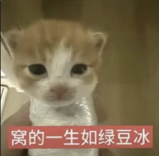 1133E865B9856CB2C4B706ABE0522327.png