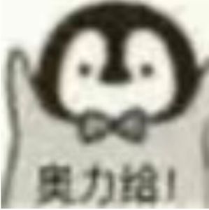 2B6C74857579DC7822A0EEC050BF96D3.jpg