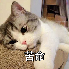 3DA6FA2C2E466026560AE9BA14CCDC4E.png