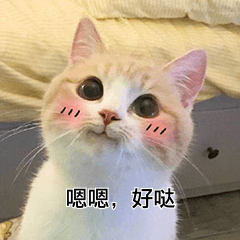 554E3A6CDCA3F64D9D2D353BC84AA771.jpg