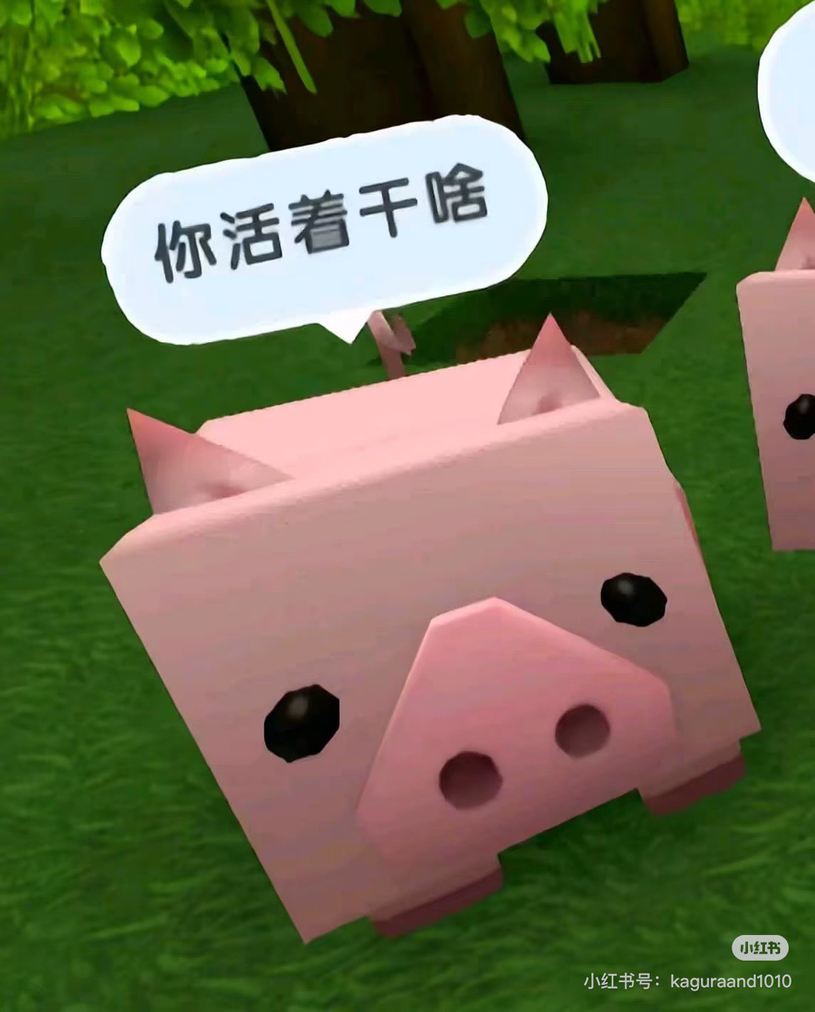 6856B664D8913D175D08B8AC0FA80CC5.png