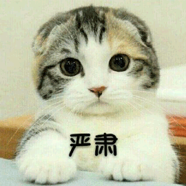 6DEE68336C8E7856D5F83E0B519E5FE4.jpg