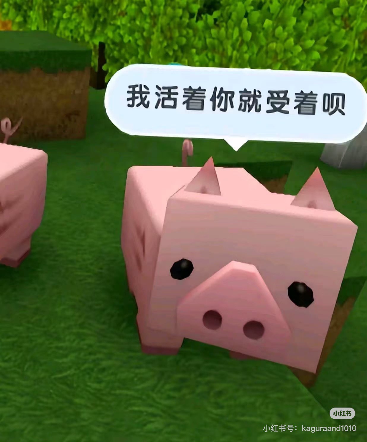 70FDFC47E17409990E3A60DB8B531AA6.png