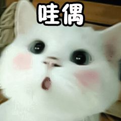 71E34012D89F8BA8DDD30ADE69966BE5.jpg