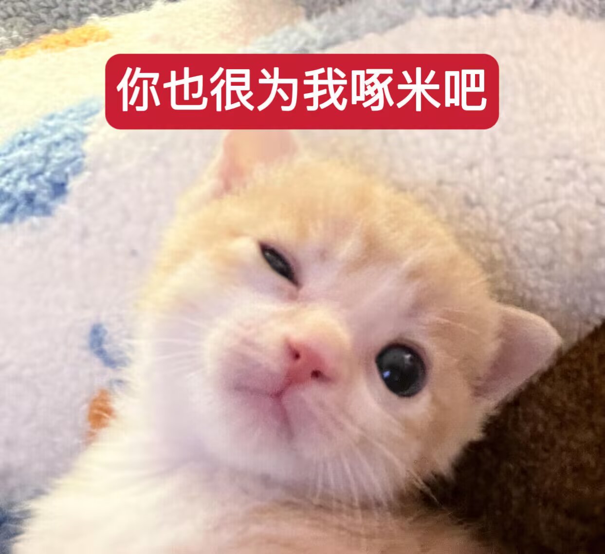 7B32FE061A9B46DE296F50D13E2A80AE.png