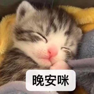 912B2831425FE10BEBFA889CD636F5EA.png