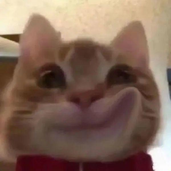 984DE61FA25C1FA7C9B22EFEB01BC3BC.png