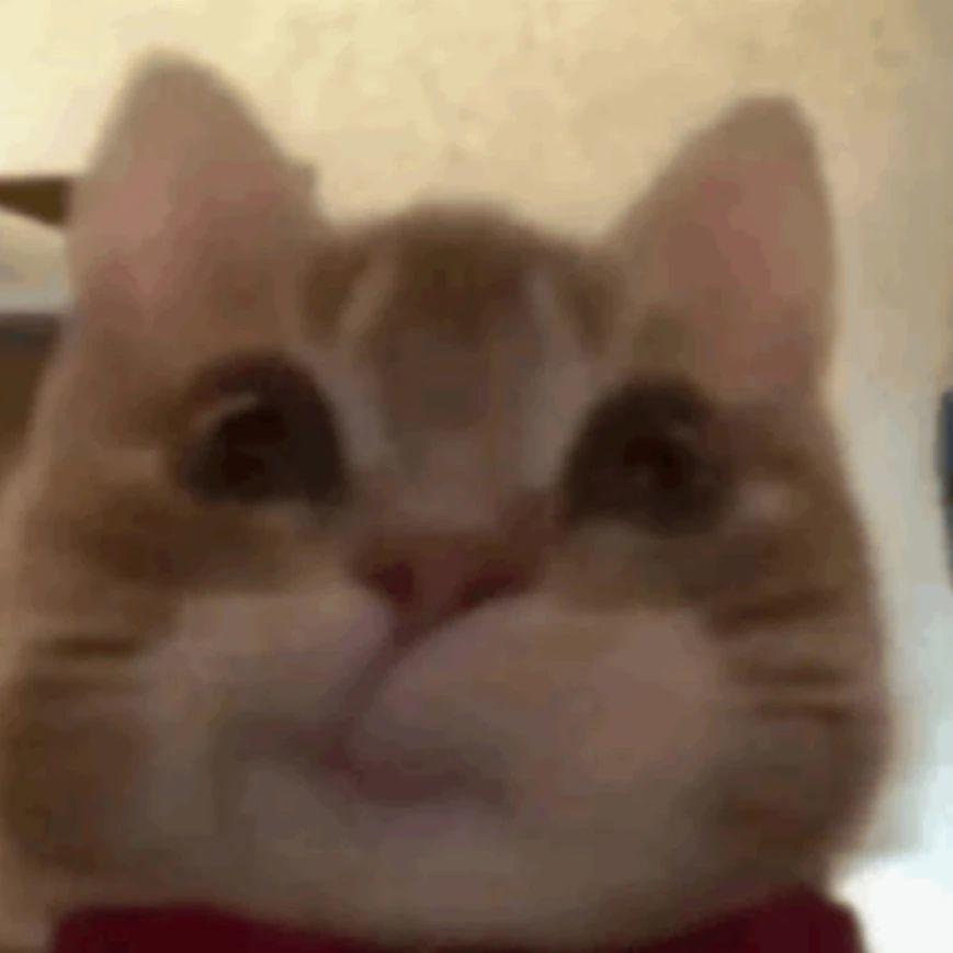99E09CF374906451298286E41340C154.png