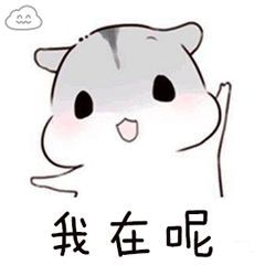 A7B1D26B932B0ED2C431EB11E279A3E8.jpg
