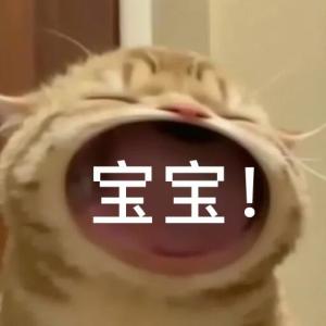 BD72762165BDC79D55531453A3C6E970.jpg