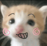BDB6856A22C3FEDB053CEE99E299DF50.png