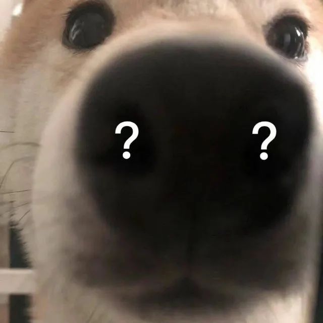 C72991C2640838771C1E206631842E53.jpg