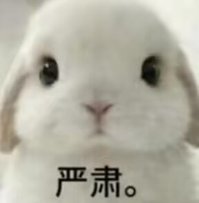 CCA3E48C491D91A453BC294F13A09711.png