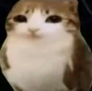D028DD2C8916E3A076EDCC4B22BAF5C4.png