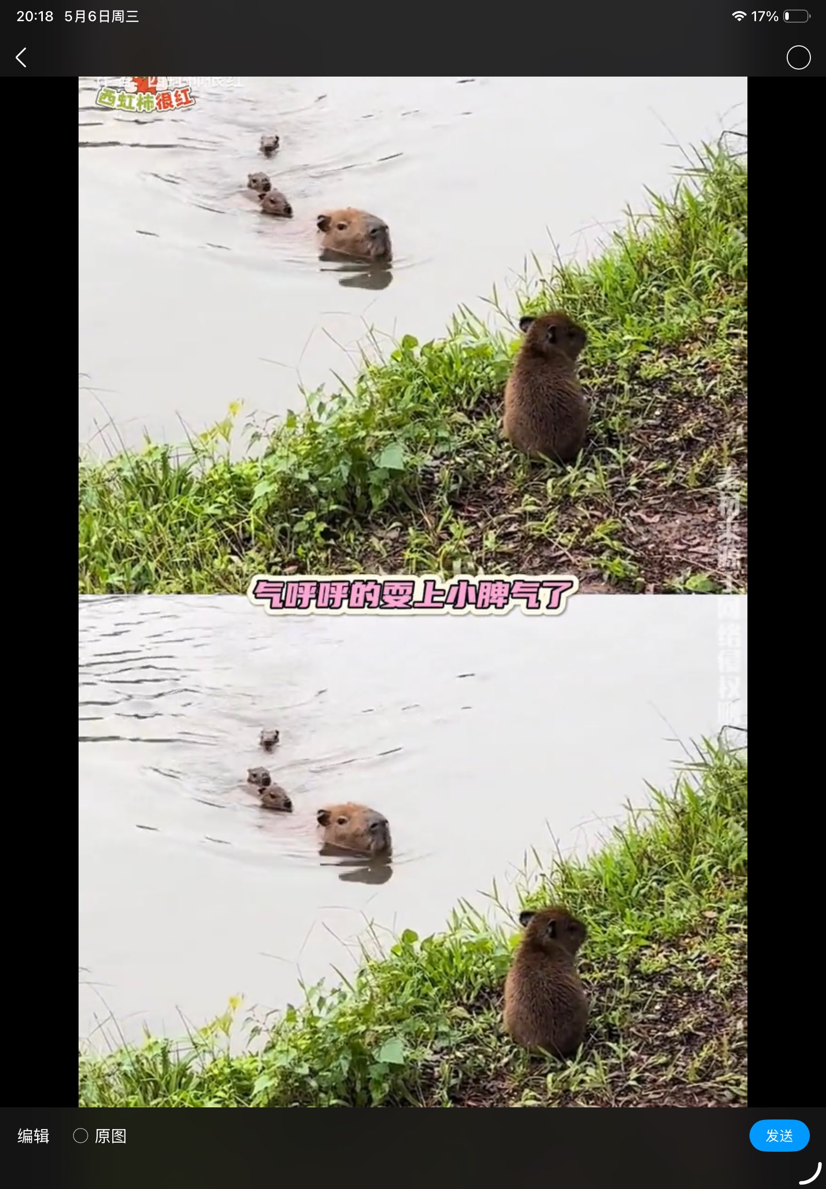 D4606872492D8A5FE1D2D6D1EBE34EA6.png