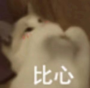 EE00DAB3C7D0A6E26D089D39D806662B.jpg