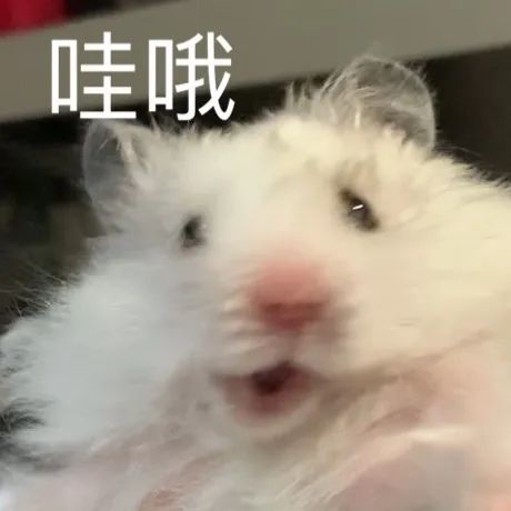 F2DD4D7C434DF356806127E2A83BB06A.jpg