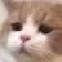 F71DFCC784C01FC5BF19367EA3F457EC.png